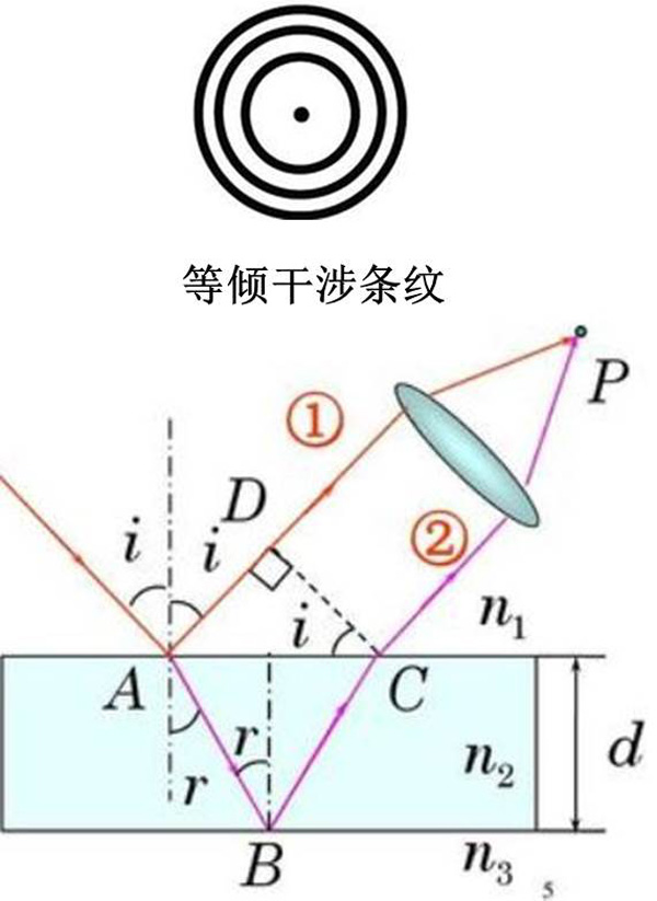 圖4：水凝膠薄膜的原位干涉測(cè)量示意圖