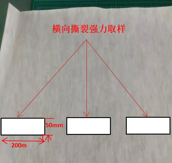 圖1：橫向撕裂強力取樣